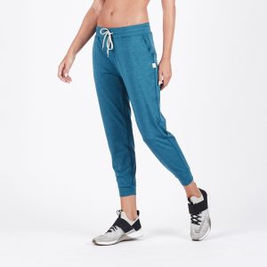 Performance Jogger | Tide Heather